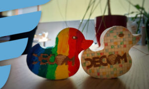 DECOM-Holz-Enten_Entenrennen 2025